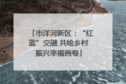市洋河新区：“红蓝”交融 共绘乡村振兴幸福画卷