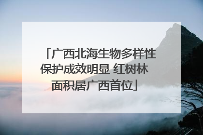 广西北海生物多样性保护成效明显 红树林面积居广西首位