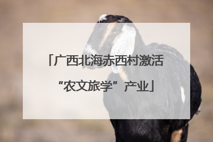 广西北海赤西村激活“农文旅学”产业