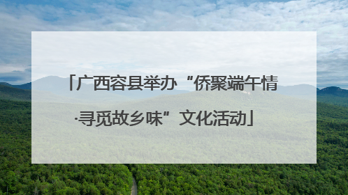 广西容县举办“侨聚端午情·寻觅故乡味”文化活动