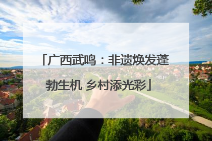 广西武鸣：非遗焕发蓬勃生机 乡村添光彩