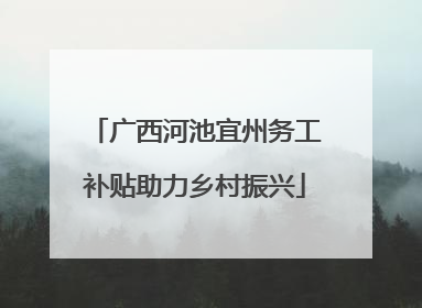 广西河池宜州务工补贴助力乡村振兴