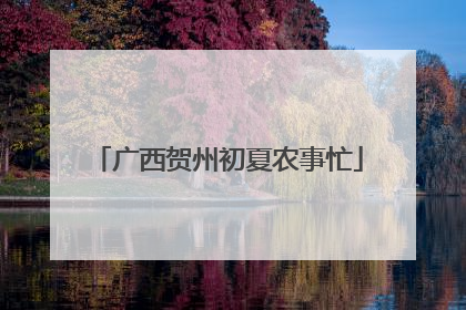 广西贺州初夏农事忙