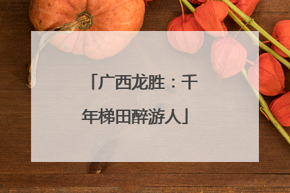 广西龙胜：千年梯田醉游人