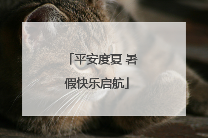 平安度夏 暑假快乐启航