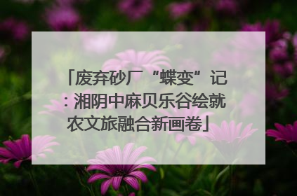 废弃砂厂“蝶变”记：湘阴中麻贝乐谷绘就农文旅融合新画卷