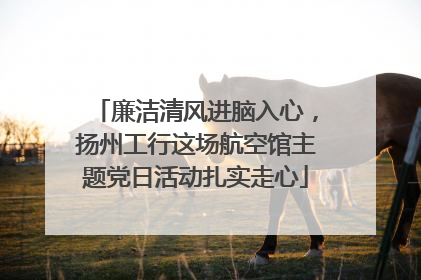 廉洁清风进脑入心，扬州工行这场航空馆主题党日活动扎实走心
