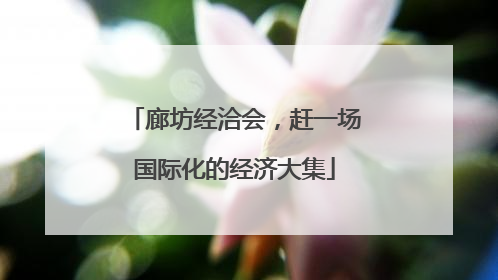 廊坊经洽会，赶一场国际化的经济大集
