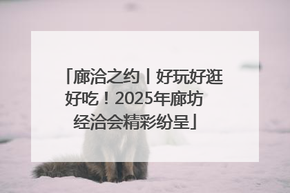 廊洽之约丨好玩好逛好吃！2025年廊坊经洽会精彩纷呈