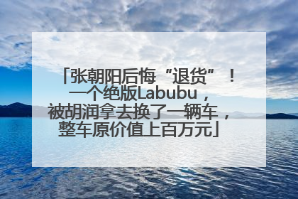张朝阳后悔“退货”！一个绝版Labubu，被胡润拿去换了一辆车，整车原价值上百万元