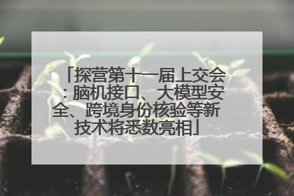 探营第十一届上交会：脑机接口、大模型安全、跨境身份核验等新技术将悉数亮相