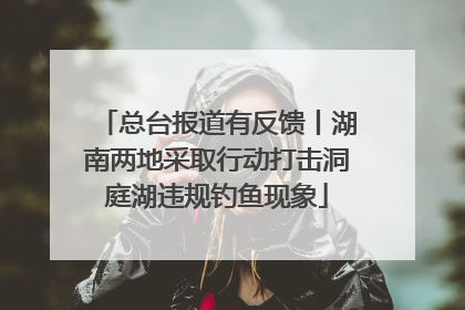 总台报道有反馈丨湖南两地采取行动打击洞庭湖违规钓鱼现象