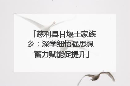 慈利县甘堰土家族乡：深学细悟强思想 蓄力赋能促提升