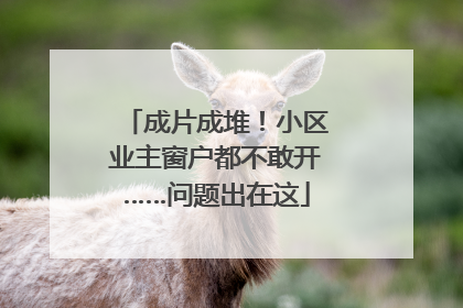 成片成堆！小区业主窗户都不敢开……问题出在这