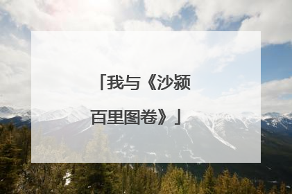 我与《沙颍百里图卷》