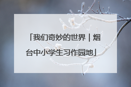 我们奇妙的世界｜烟台中小学生习作园地