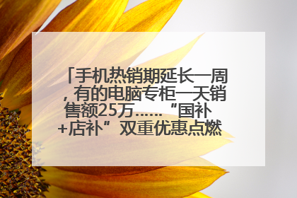 手机热销期延长一周，有的电脑专柜一天销售额25万……“国补+店补”双重优惠点燃德州“考后经济”