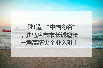打造 “中国药谷”，驻马店市市长诚邀长三角高精尖企业入驻