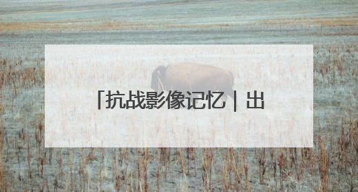 抗战影像记忆｜出川抗战，身已许国