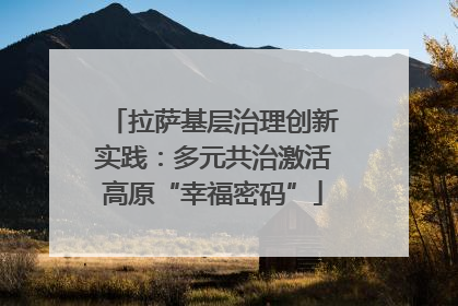 拉萨基层治理创新实践：多元共治激活高原“幸福密码”