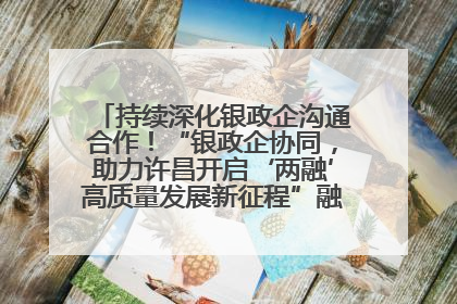 持续深化银政企沟通合作！“银政企协同，助力许昌开启‘两融’高质量发展新征程”融资对接会举行