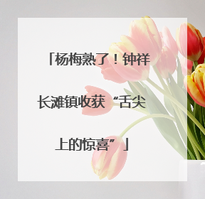 杨梅熟了！钟祥长滩镇收获“舌尖上的惊喜”