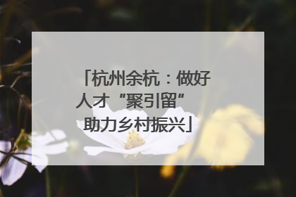 杭州余杭：做好人才“聚引留” 助力乡村振兴