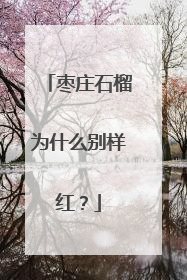 枣庄石榴为什么别样红？