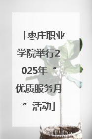 枣庄职业学院举行2025年“优质服务月”活动
