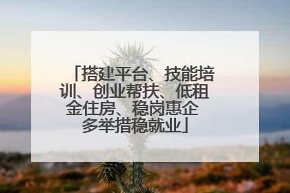 搭建平台、技能培训、创业帮扶、低租金住房、稳岗惠企 多举措稳就业