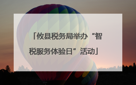 攸县税务局举办“智税服务体验日”活动