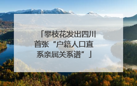 攀枝花发出四川首张“户籍人口直系亲属关系谱”