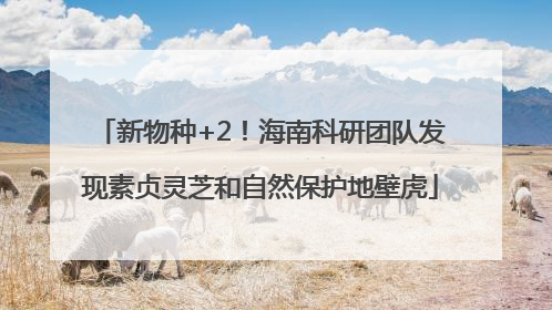 新物种+2！海南科研团队发现素贞灵芝和自然保护地壁虎
