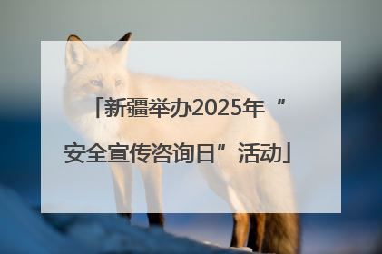 新疆举办2025年“安全宣传咨询日”活动
