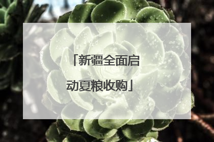 新疆全面启动夏粮收购
