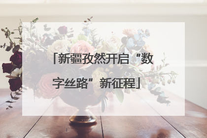 新疆孜然开启“数字丝路”新征程