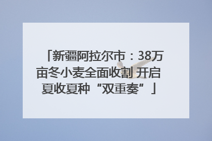 新疆阿拉尔市：38万亩冬小麦全面收割 开启夏收夏种“双重奏”