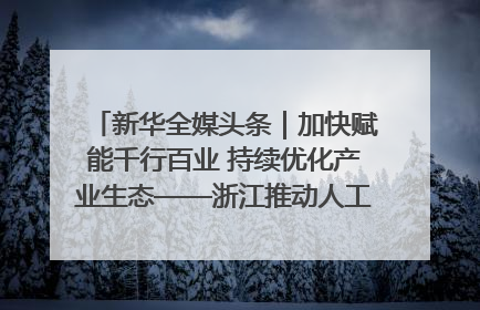 新华全媒头条｜加快赋能千行百业 持续优化产业生态——浙江推动人工智能健康有序发展观察