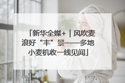 新华全媒+｜风吹麦浪好“丰”景——多地小麦机收一线见闻