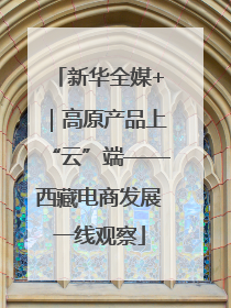 新华全媒+｜高原产品上“云”端——西藏电商发展一线观察