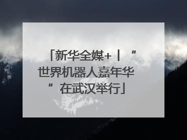 新华全媒+丨“世界机器人嘉年华”在武汉举行