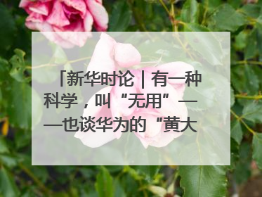 新华时论｜有一种科学，叫“无用”——也谈华为的“黄大年茶思屋”