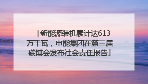 新能源装机累计达613万千瓦，申能集团在第三届碳博会发布社会责任报告
