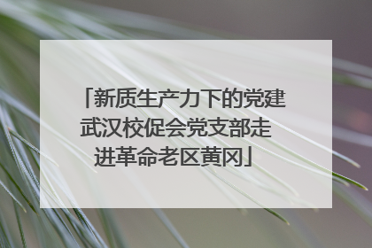 新质生产力下的党建 武汉校促会党支部走进革命老区黄冈