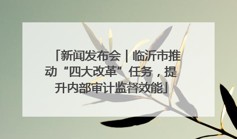 新闻发布会｜临沂市推动“四大改革”任务，提升内部审计监督效能