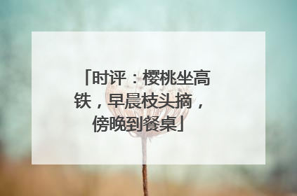 时评：樱桃坐高铁，早晨枝头摘，傍晚到餐桌