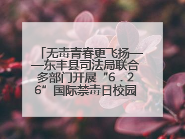 无毒青春更飞扬——东丰县司法局联合多部门开展“6．26”国际禁毒日校园宣讲活动
