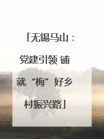 无锡马山：党建引领 铺就“梅”好乡村振兴路