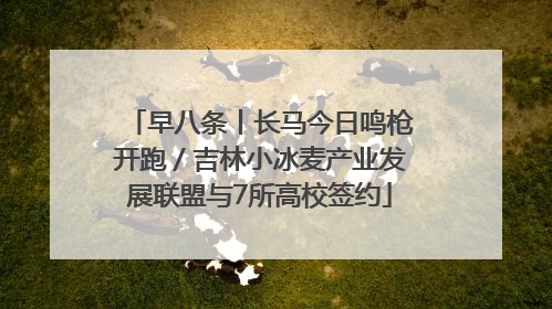 早八条丨长马今日鸣枪开跑／吉林小冰麦产业发展联盟与7所高校签约