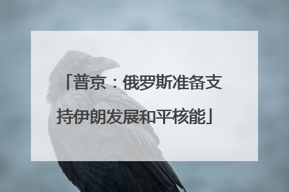 普京：俄罗斯准备支持伊朗发展和平核能